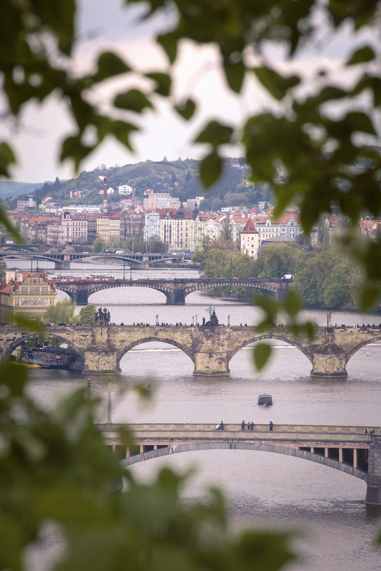 Prague,  Čekija & Nbsp,  Respublika,  Tiltai,  Upė,  Miestas,  Charles Tiltas,  Prague Tiltai Upė, Nemokamos Nuotraukos,  Nemokama Licenzija