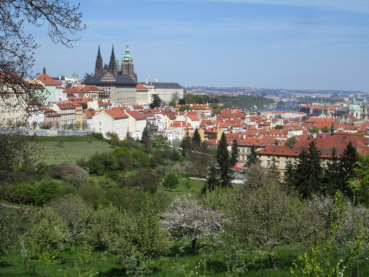 Prague, Miestas, Ekskursijos, Vista, Čekijos Respublika, Pavasaris, Medžiai, Žiedas, Petrin, Nemokamos Nuotraukos