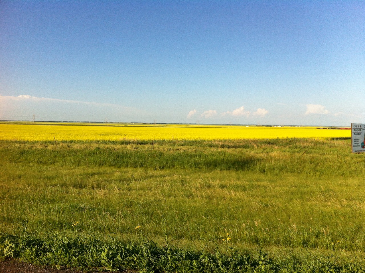 Prairie, Kaimas, Canola, Kraštovaizdis, Dykuma, Peizažas, Natūralus, Laukiniai, Lauke, Aplinka