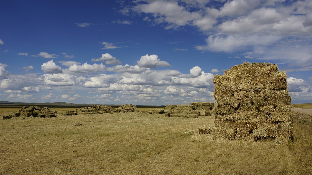 Prairie, Haystack, Mėlynas Dangus Ir Balti Debesys, Nemokamos Nuotraukos,  Nemokama Licenzija