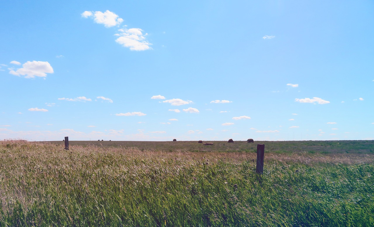Prairie, Dangus, Žolė, Laukas, Saskatchewan, Kanada, Pieva, Kraštovaizdis, Vasara, Horizontas