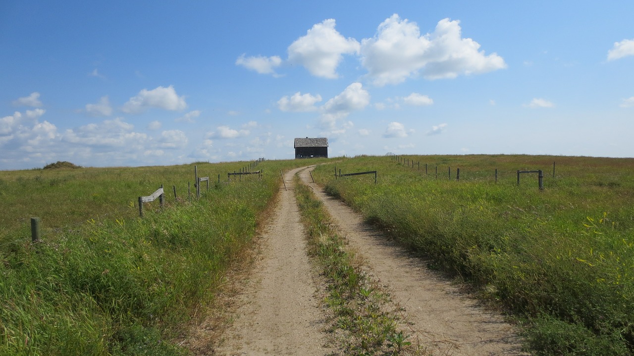 Prairie, Shed, Kaimas, Senas, Kraštovaizdis, Pastatas, Gamta, Ištemptas, Žolė, Kaimiškas