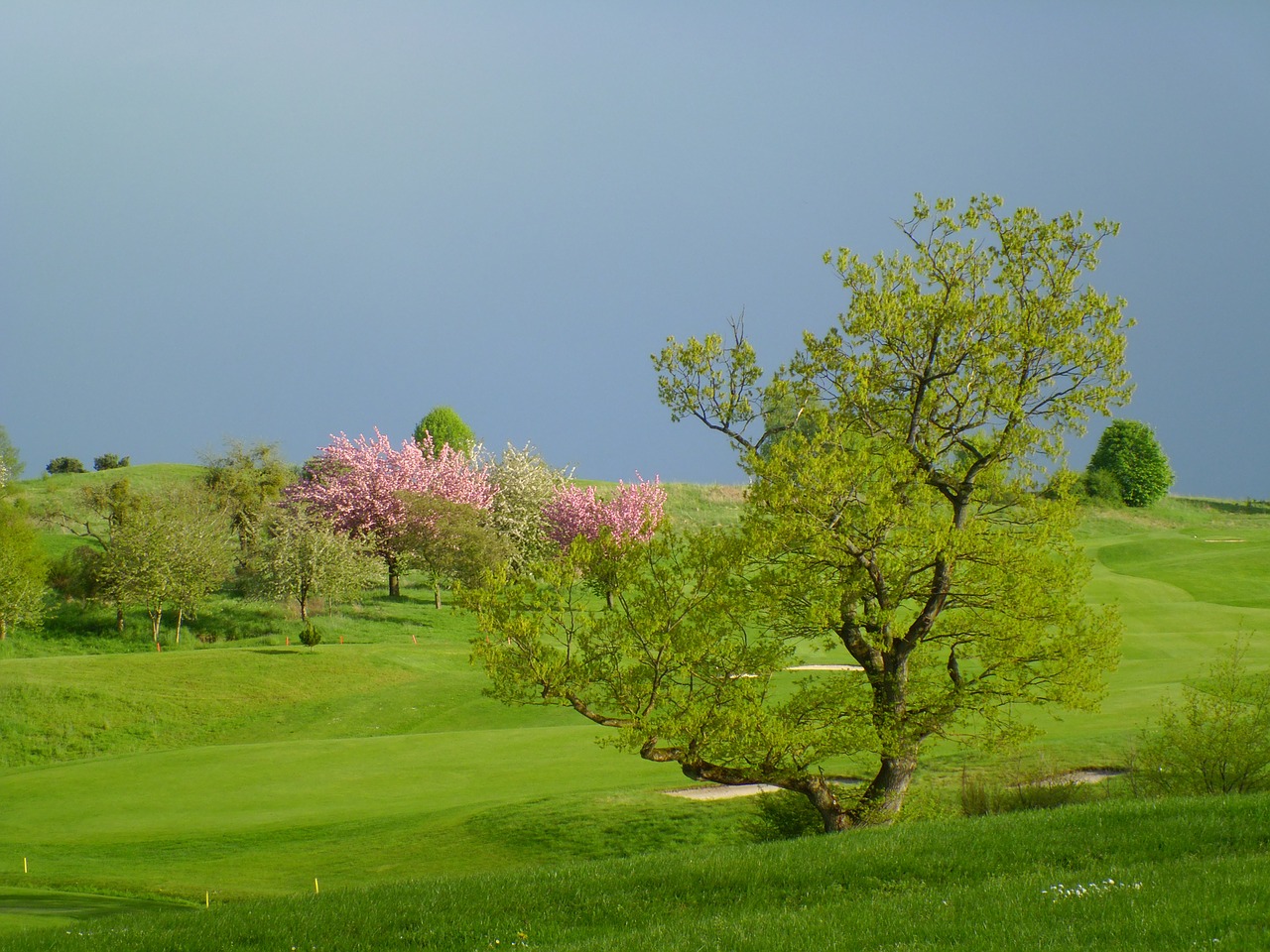 Prato, Golfas, Griauna, Dangus, Buka, Smėlis, Skylės, Žalias, Sportas, Vyšnia