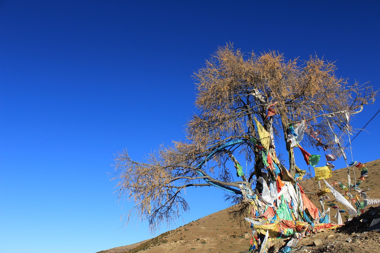 Maldos Vėliavos, Medis, Tibetiečių Vietovėse, Nemokamos Nuotraukos,  Nemokama Licenzija