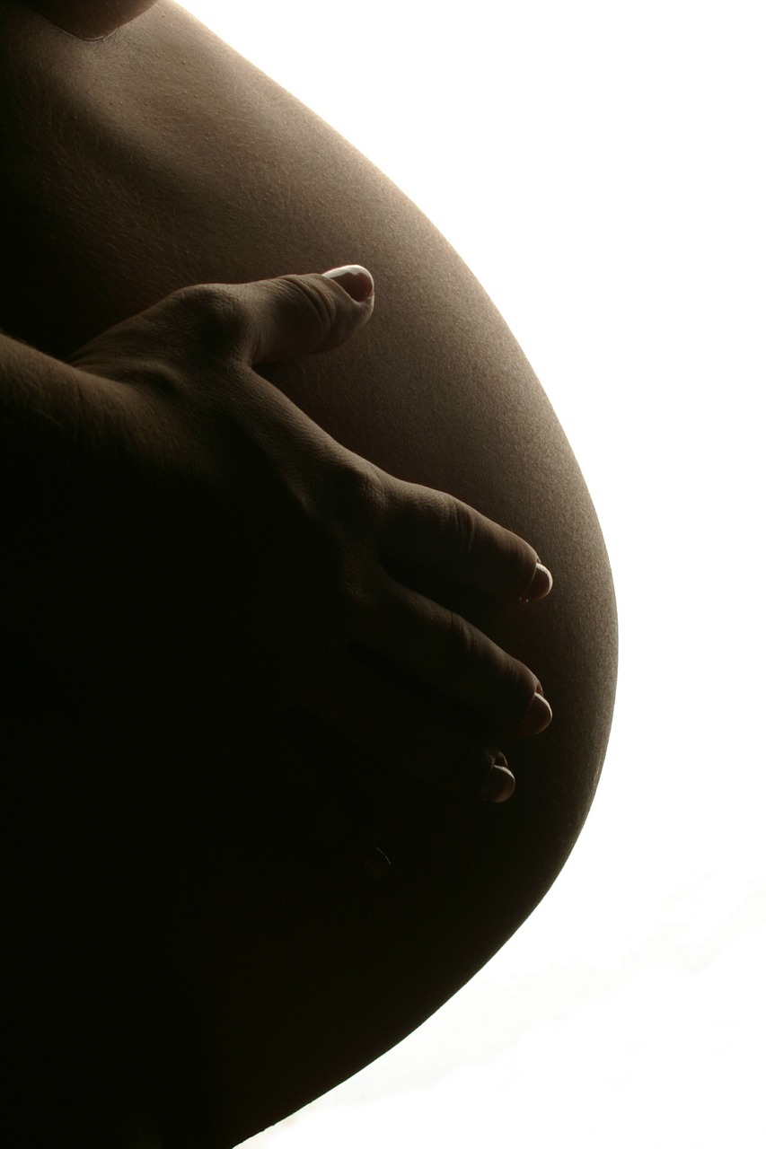 Nėščia, Nėštumas, Motinystė, Mama, Motina, Pilvas, Motinystė, Gimdymas, Kūdikis, Gyvenimas
