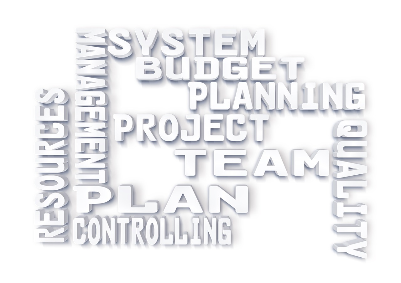 Projektas, Kokybės Valdymas, Kokybė, Plėtra, Analizė, Kontrolė, Planą, Sistema, Ištekliai, Komanda