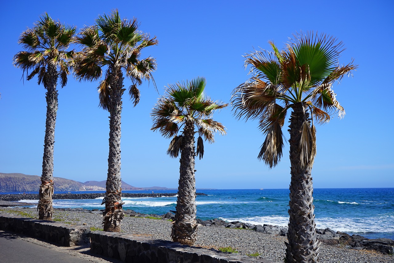 Promenada, Palmės, Papludimys, Smėlio Paplūdimys Plaukti, Jūra, Šventė, Kranto, Tenerifė, Playa De Las Americas, Los Cristianos