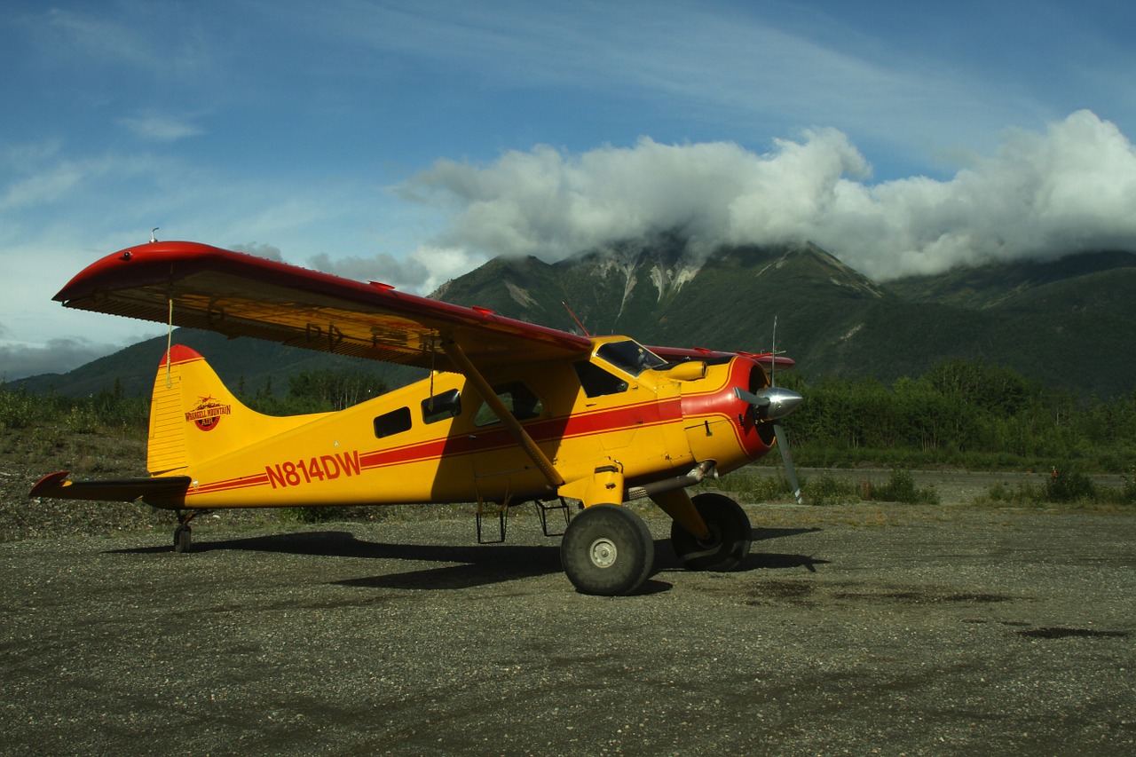 Propeleris, Lėktuvas, Lėktuvas, Orlaivis, Transportas, Skrydis, Gabenimas, Vintage, Aviacija, Skristi