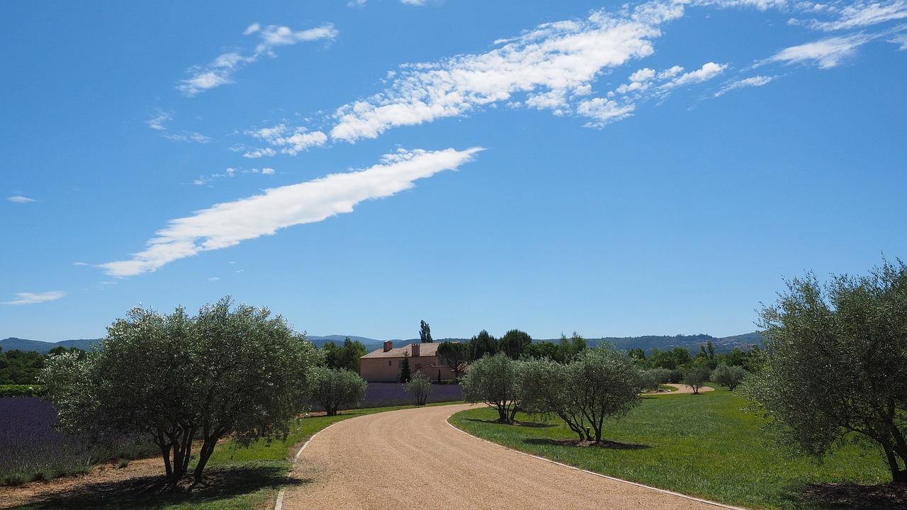 Nuosavybė, Toli, Alyvmedžiai, Levandų Laukas, Levanda, Laukas, Provence, Goult, France, D900