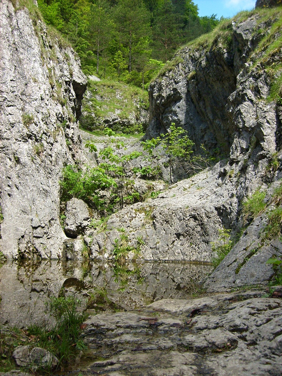 Prosiecká Dolina, Akmenys, Gamta, Kraštovaizdis, Slovakija, Kalnai, Nemokamos Nuotraukos,  Nemokama Licenzija