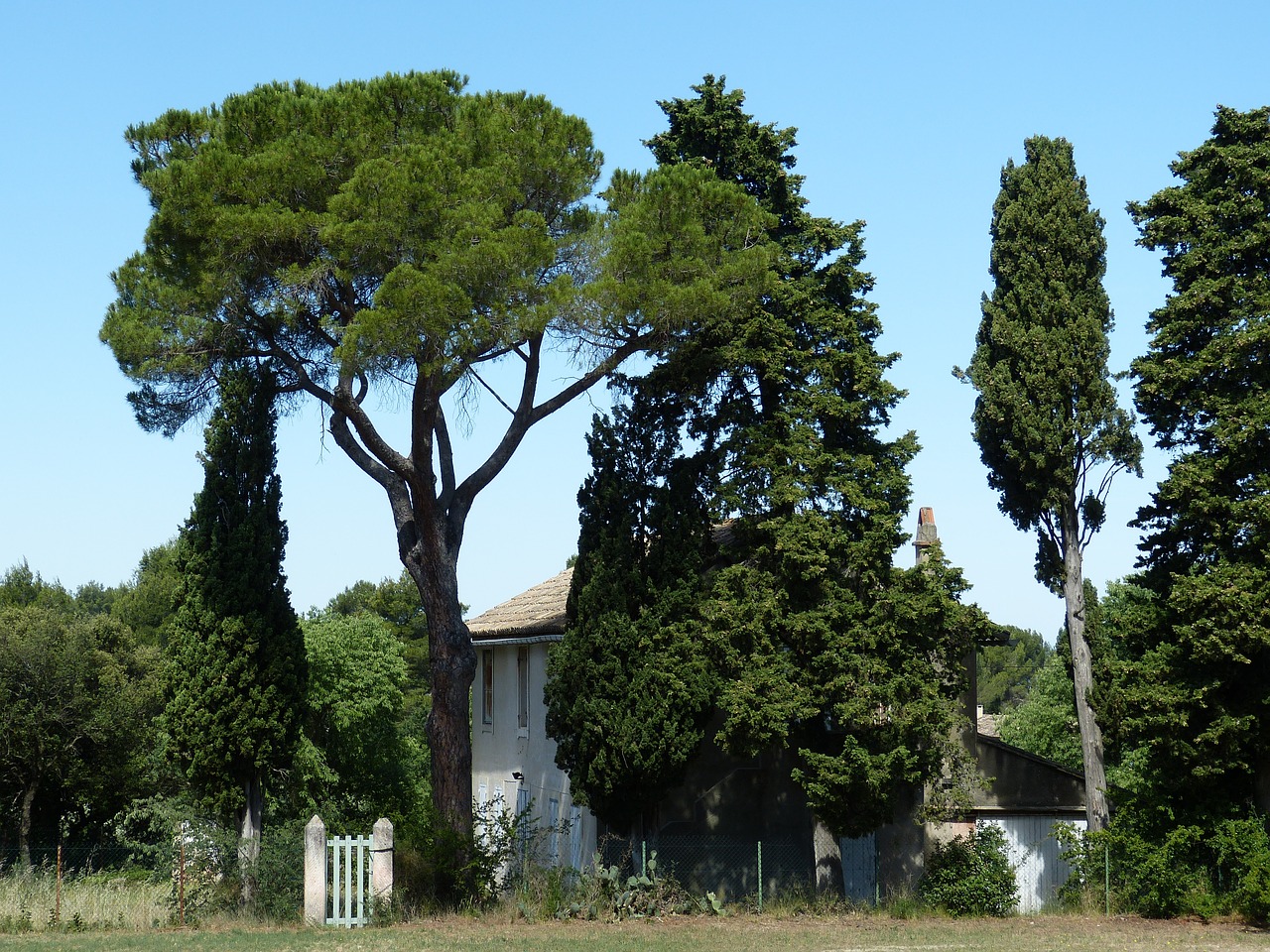 Provence, Rhône, France, Sodas, Į Pietus Nuo Prancūzijos, Namai, Pušis, Vartai, Idiliškas, Gamta