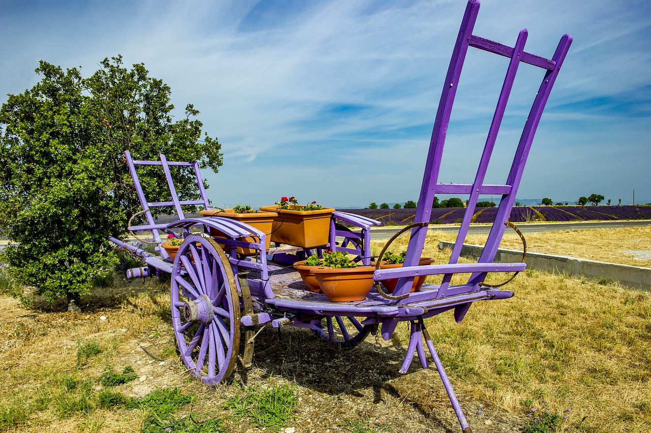 Provence, Valensole, Levanda, Haute Provence, Vasara, Nemokamos Nuotraukos,  Nemokama Licenzija