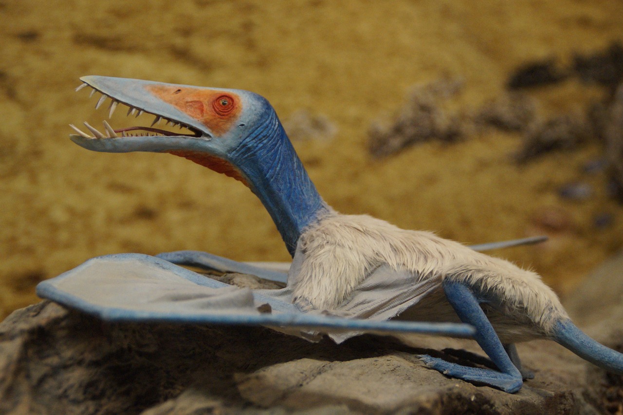 Pterosauras, Priešistoriniai Laikai, Dinozauras, Skristi, Slide, Membranos, Evoliucija, Protėvis, Paukštis, Pereinamoji Forma