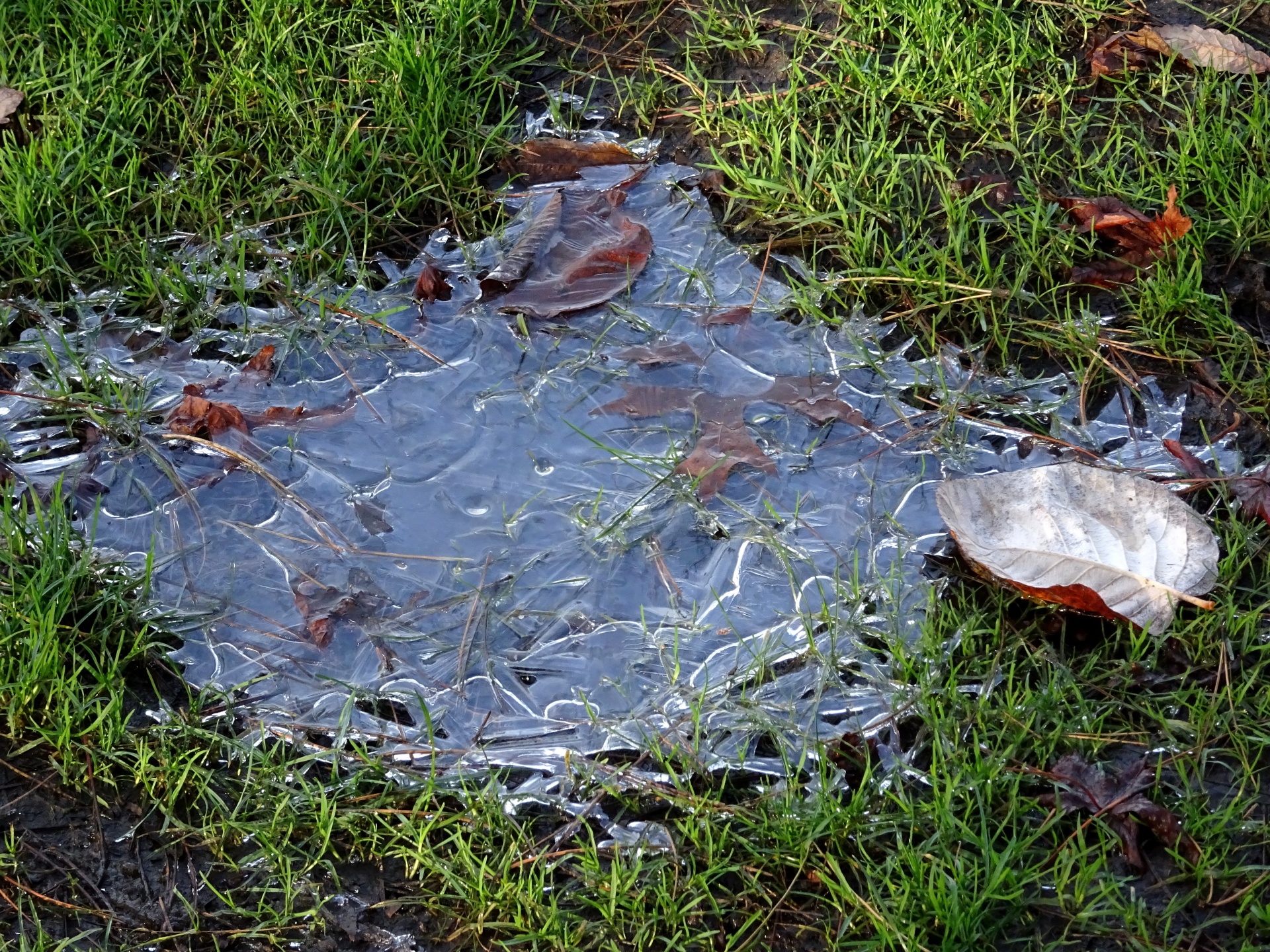 Žiema,  Peizažas,  Puddles,  Ledas,  Ledas,  Varveklių,  Varveklių,  Šaltis,  Ledinis,  Matinis