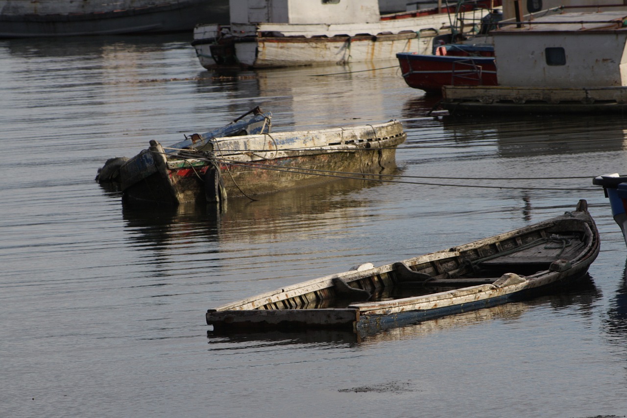 Puerto Natales, Valtys, Žvejai, Uostas, Žvejys, Turizmas, Žvejyba, Barca, Cove, Pietų Čile