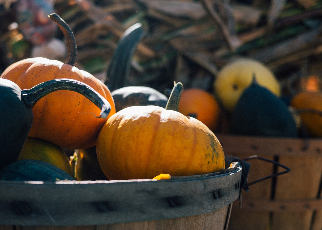 Moliūgas, Derlius, Kritimas, Ruduo, Maistas, Daržovių, Oranžinė, Pasėlių, Apdaila, Halloween