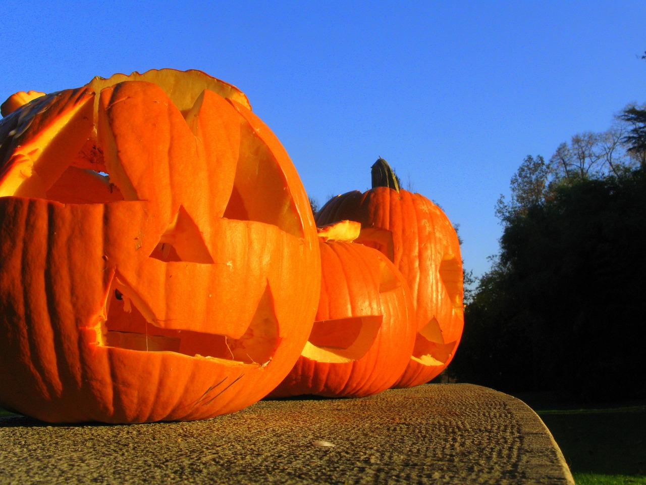 Moliūgas, Halloween, Oranžinė, Helovyno Moliūgai, Spalio Mėn, Žibintas, Ruduo, Triukas, Linksma, Mėlynas