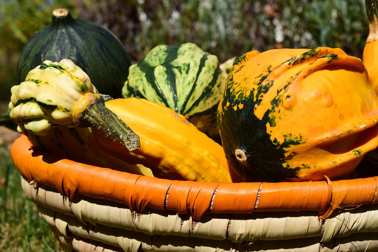 Moliūgas, Moliūgas, Ruduo, Oranžinė, Apdaila, Padėka, Derlius, Rudens Apdaila, Halloween, Geltona