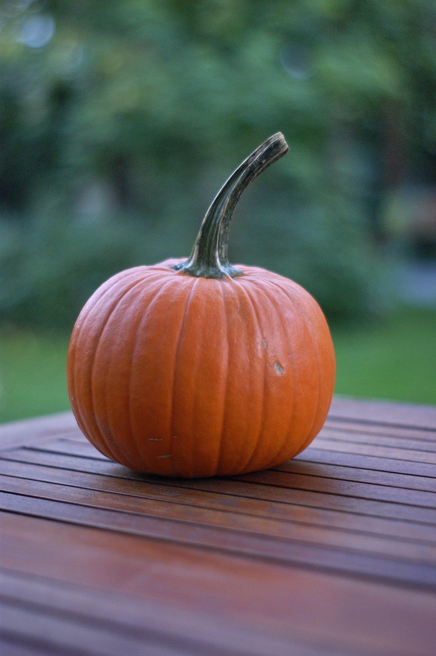 Moliūgas, Ruduo, Oranžinė, Halloween, Šventė, Šeima, Ikimokyklinis Amžius, Mažai, Spalio Mėn, Siaubas