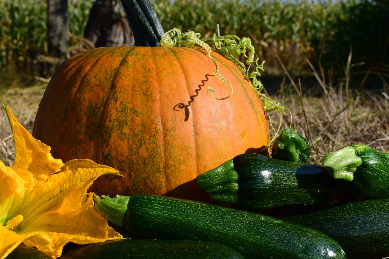 Moliūgas, Uždaryti, Ruduo, Geltona, Gamta, Oranžinė, Daržovės, Halloween, Padėka, Maistas