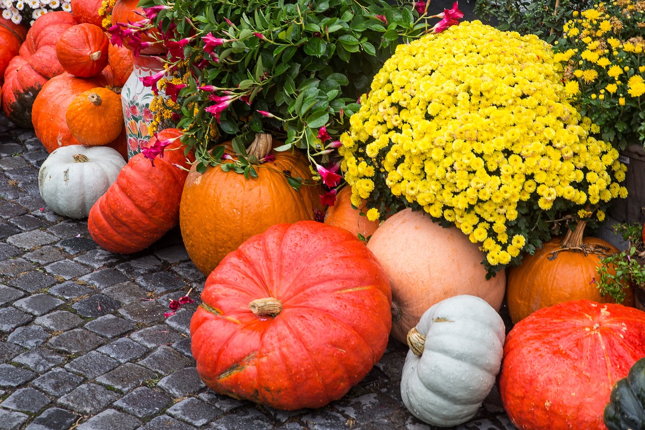 Moliūgas, Skvošas, Padėka, Moliūgų Sriuba, Halloween, Ūkis, Rudens Motyvai, Nemokamos Nuotraukos,  Nemokama Licenzija