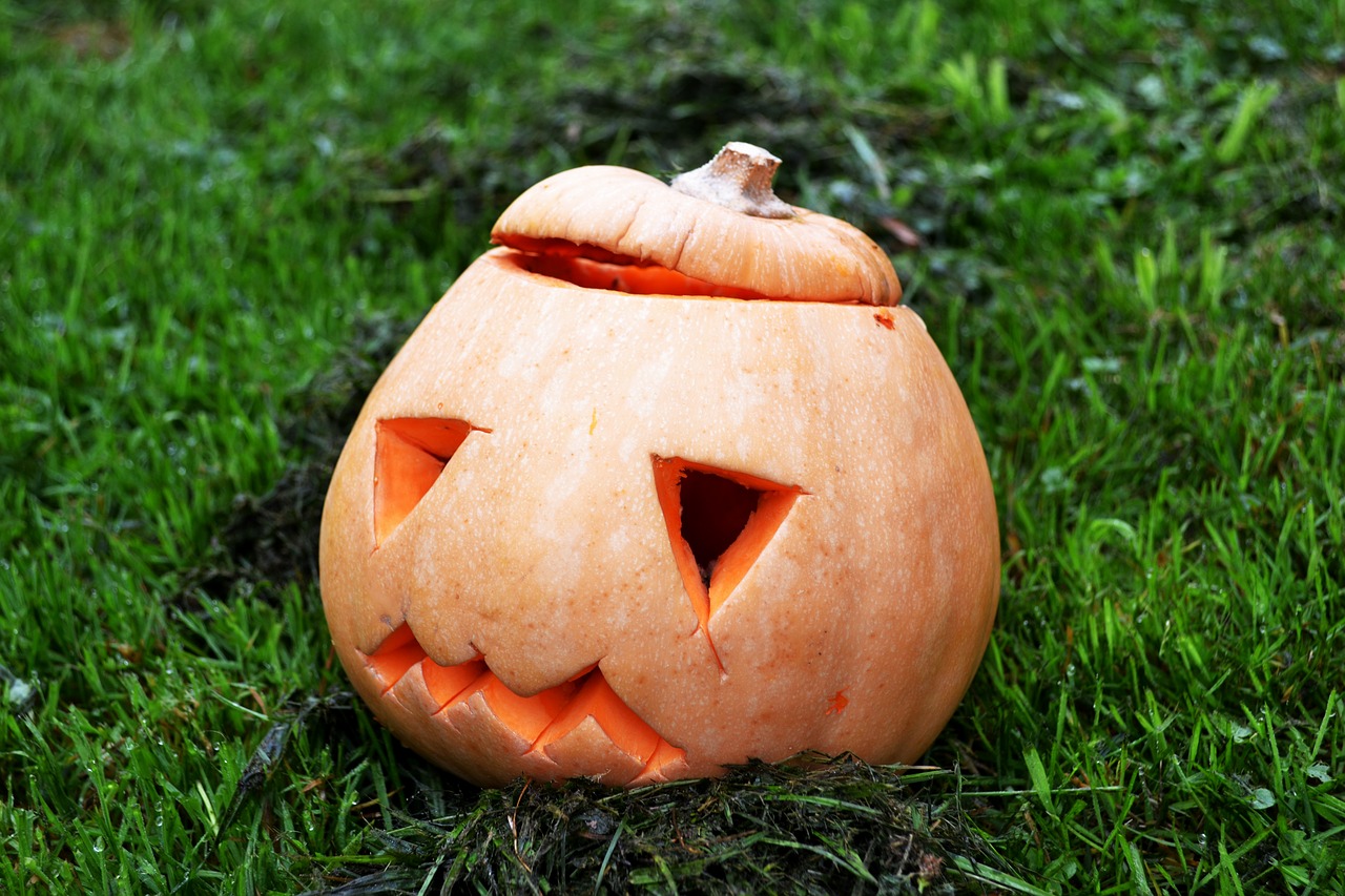 Moliūgas, Skvošas, Halloween, Moliūgas Žibintas, Nemokamos Nuotraukos,  Nemokama Licenzija