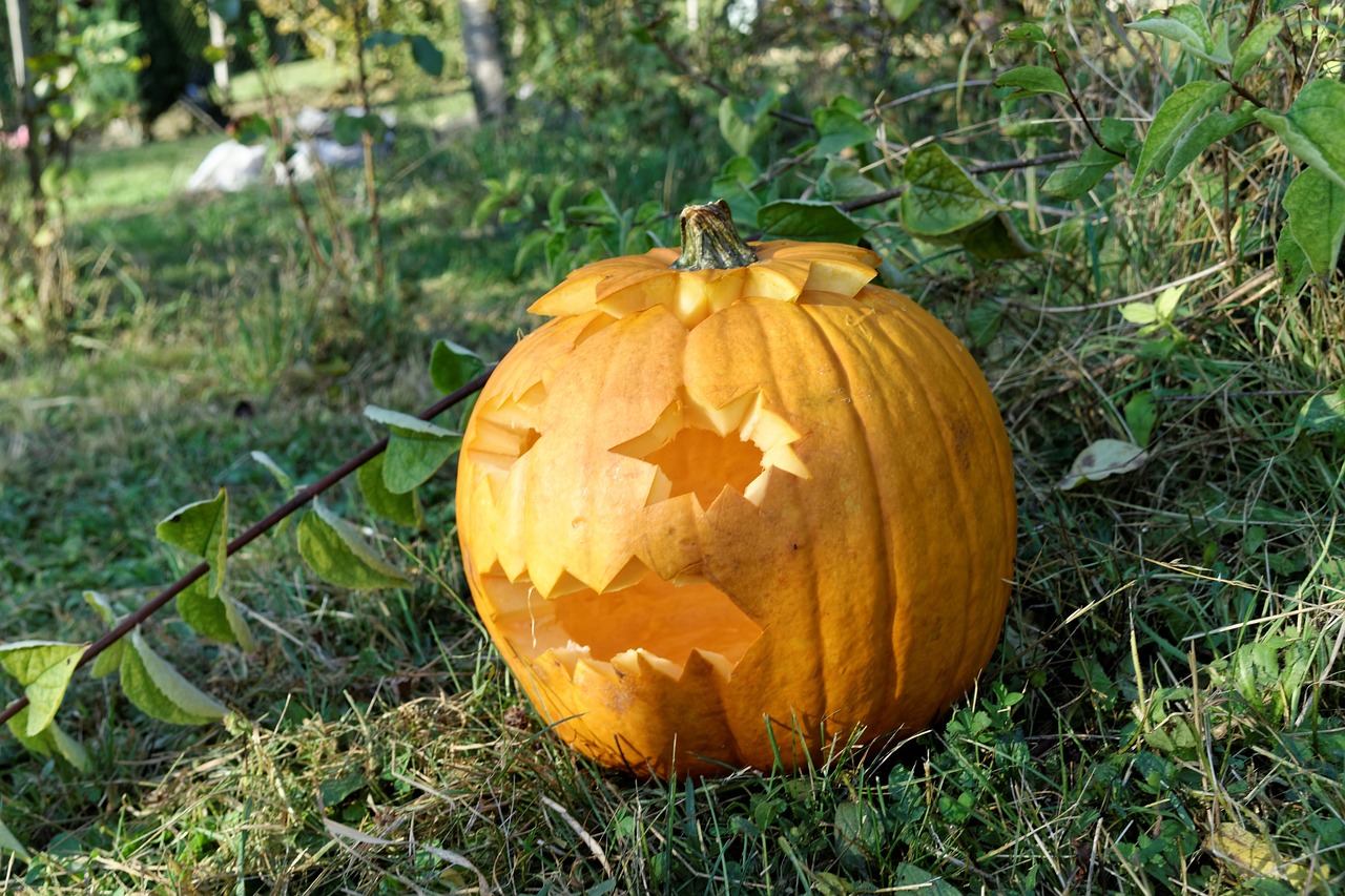 Moliūgas, Halloween, Gamta, Nemokamos Nuotraukos,  Nemokama Licenzija