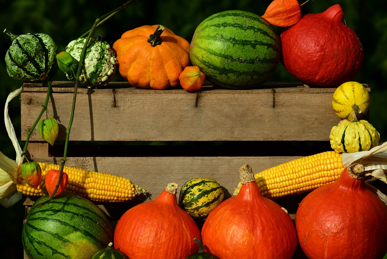 Moliūgas, Padėka, Derlius, Ruduo, Oranžinė, Moliūgas, Apdaila, Halloween, Spalio Mėn, Moliūgų Ruduo