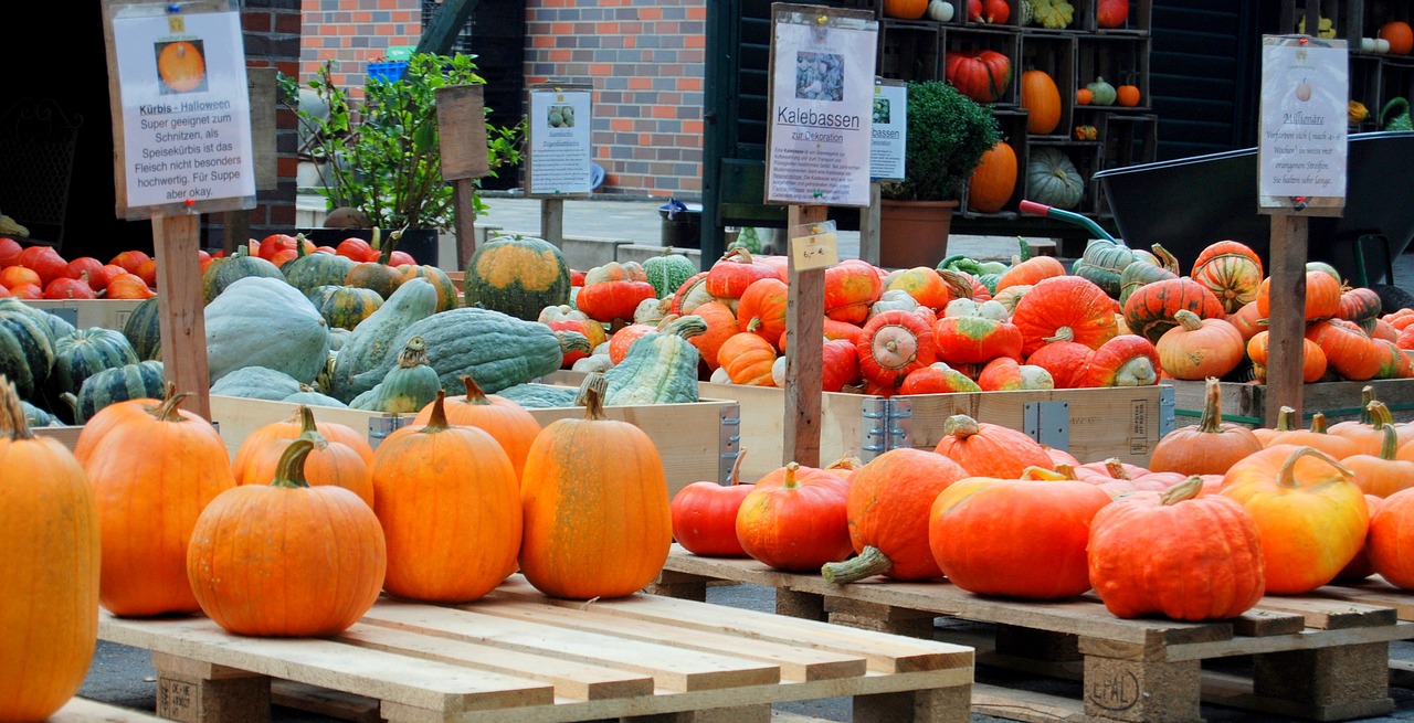 Moliūgas, Moliūgai, Helloween, Daržovės, Rudens Apdaila, Maistas, Rudens Motyvai, Ruduo, Oranžinė, Halloween