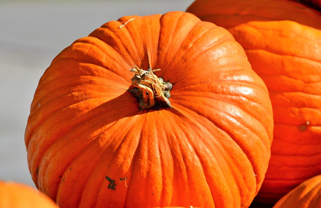 Moliūgas, Vaisiai, Oranžinė, Ruduo, Cucurbita Maxima, Pasirinkti, Didelis, Didelis, Maistas, Daržovės