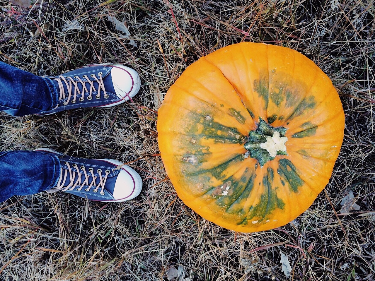 Moliūgas, Kritimo Ruduo, Spalio Mėn, Halloween, Pasikalbėti, Jaunas, Nemokamos Nuotraukos,  Nemokama Licenzija