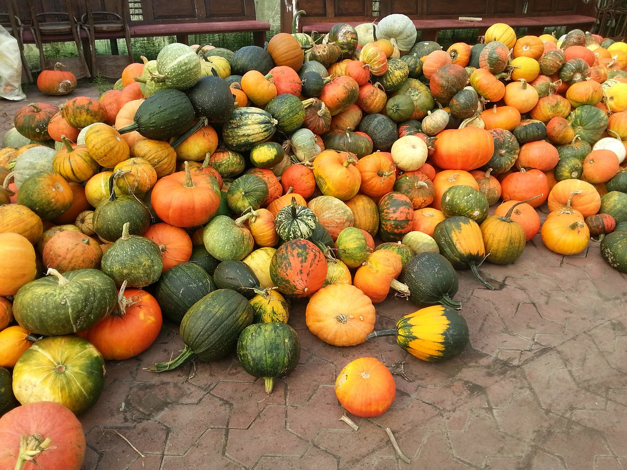 Moliūgas, September, Ruduo, Derlius, Padėka, Daržovės, Krūva, Turgus, Oranžinė, Gelp