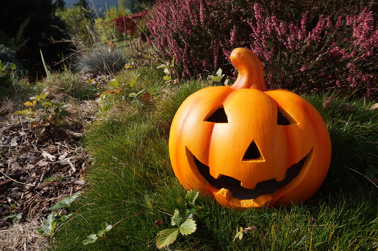 Moliūgas, Sodas, Helloween, Oranžinė, Ruduo, Daržovės, Rudens Apdaila, Moliūgai, Gamta, Dekoratyvinis