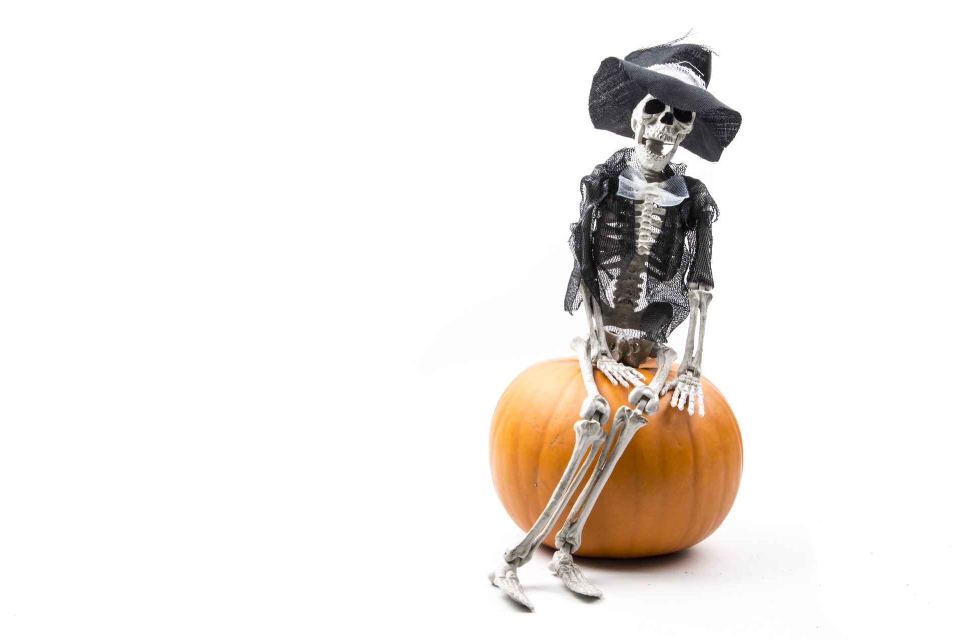 Skeletas,  Pumkin,  Halloween,  Apdaila,  Padėka,  Klevai,  Dubuo,  Ruduo,  Apšviestas,  Drožyba