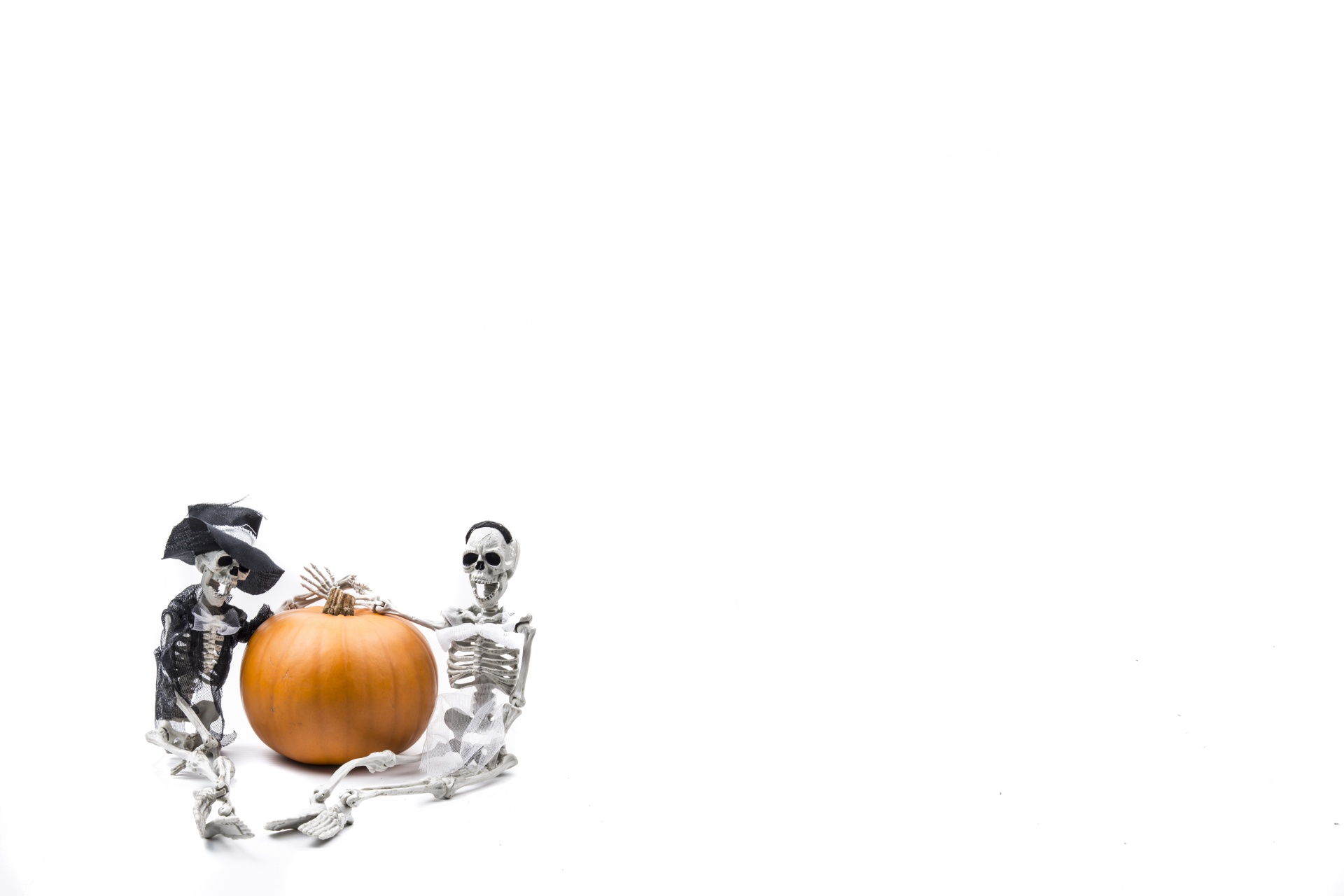 Skeletas,  Pumkin,  Halloween,  Apdaila,  Padėka,  Klevai,  Dubuo,  Ruduo,  Apšviestas,  Drožyba