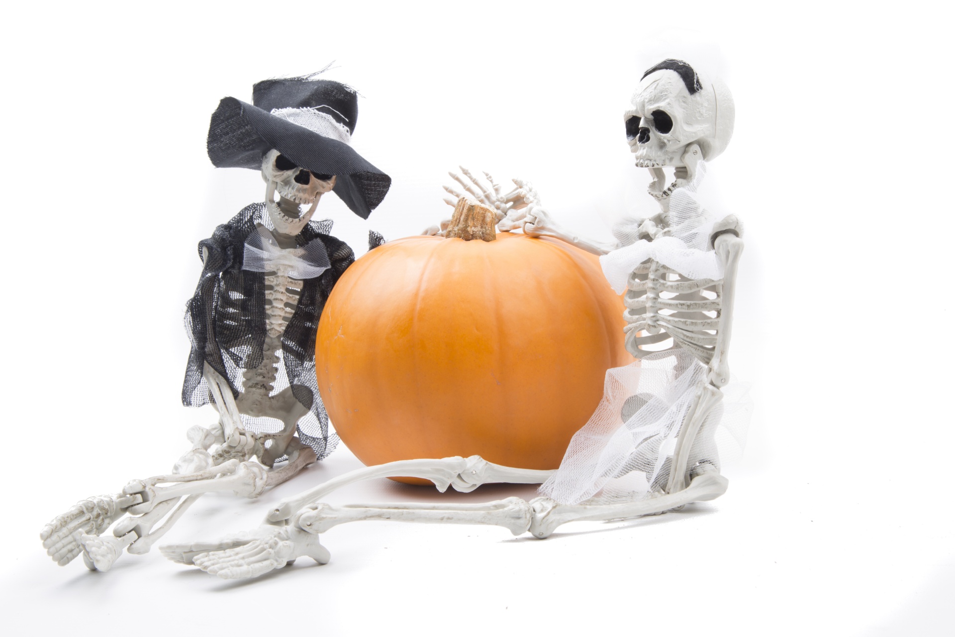 Skeletas,  Pumkin,  Halloween,  Apdaila,  Padėka,  Klevai,  Dubuo,  Ruduo,  Apšviestas,  Drožyba