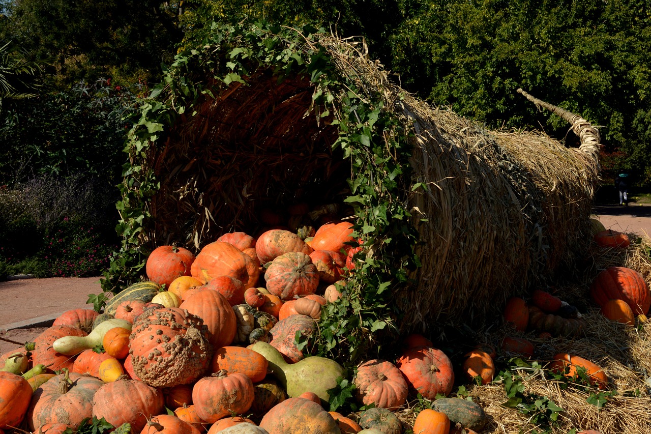 Moliūgai, Daržovės, Oranžinė, Ruduo, Rugšvis, Nemokamos Nuotraukos,  Nemokama Licenzija