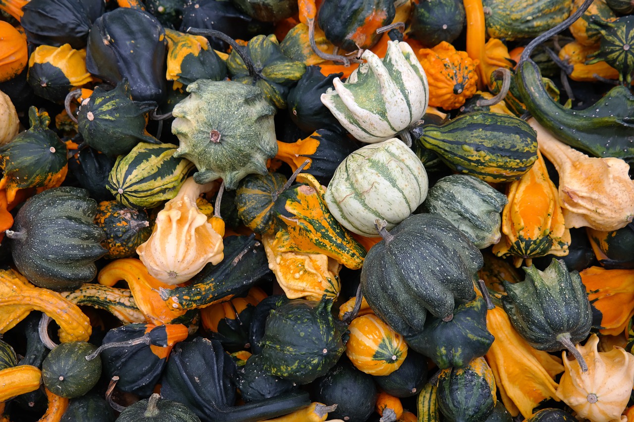 Moliūgai, Dekoratyviniai Skvošaičiai, Žalias, Ruduo, Oranžinė, Rudens Apdaila, Padėka, Daržovės, Sumaišyti, Kompiliavimas