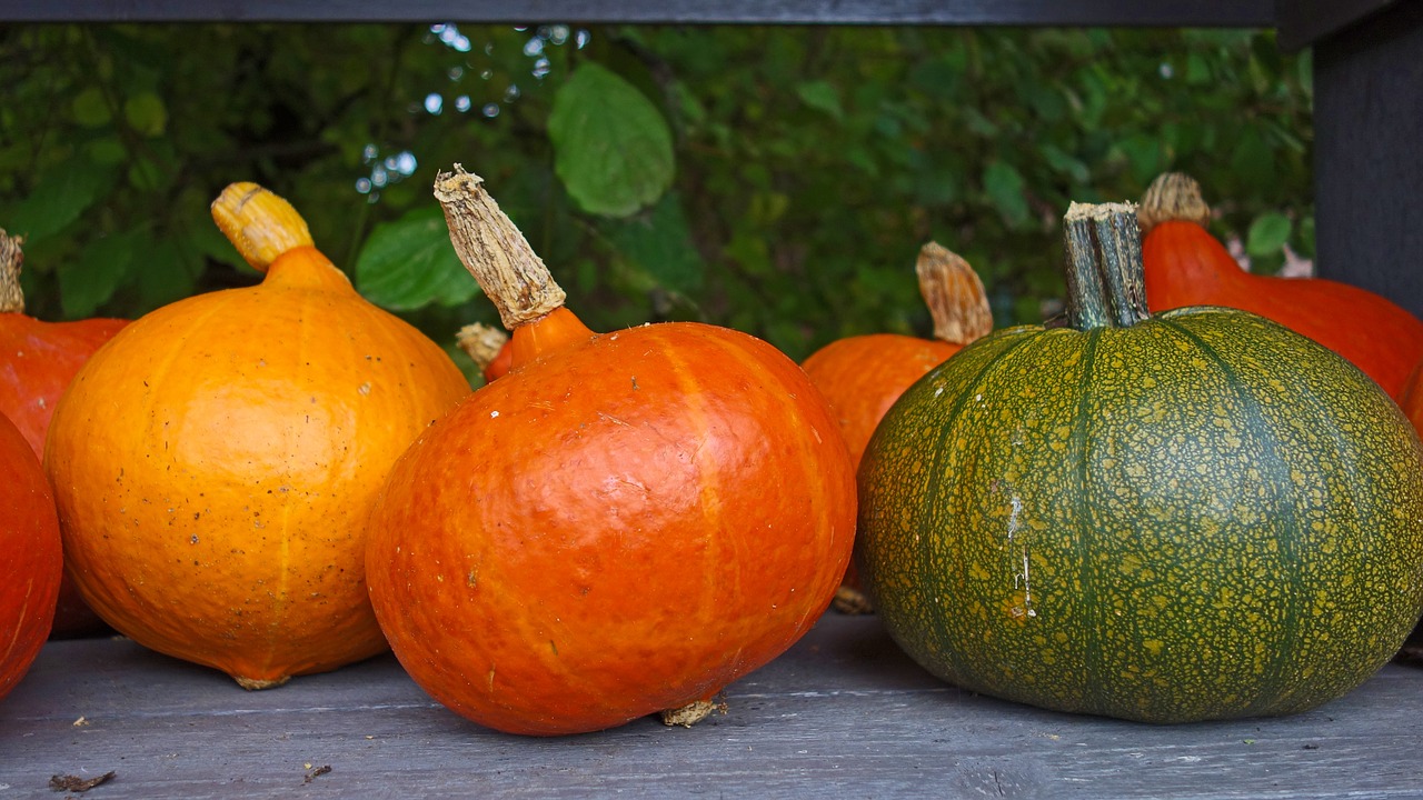 Moliūgai, Rudens Apdaila, Dekoratyviniai Vaisiai, Padėka, Halloween, Ruduo, Natiurmortas, Vaisiai, Daržovės, Oranžinė