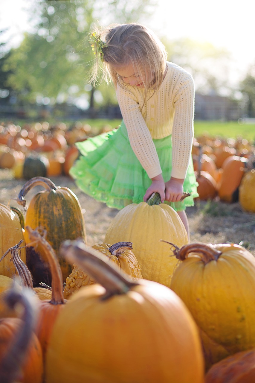 Moliūgai, Maža Mergaitė, Ruduo, Vaikas, Halloween, Šventė, Oranžinė, Spalio Mėn, Vaikystę, Linksma