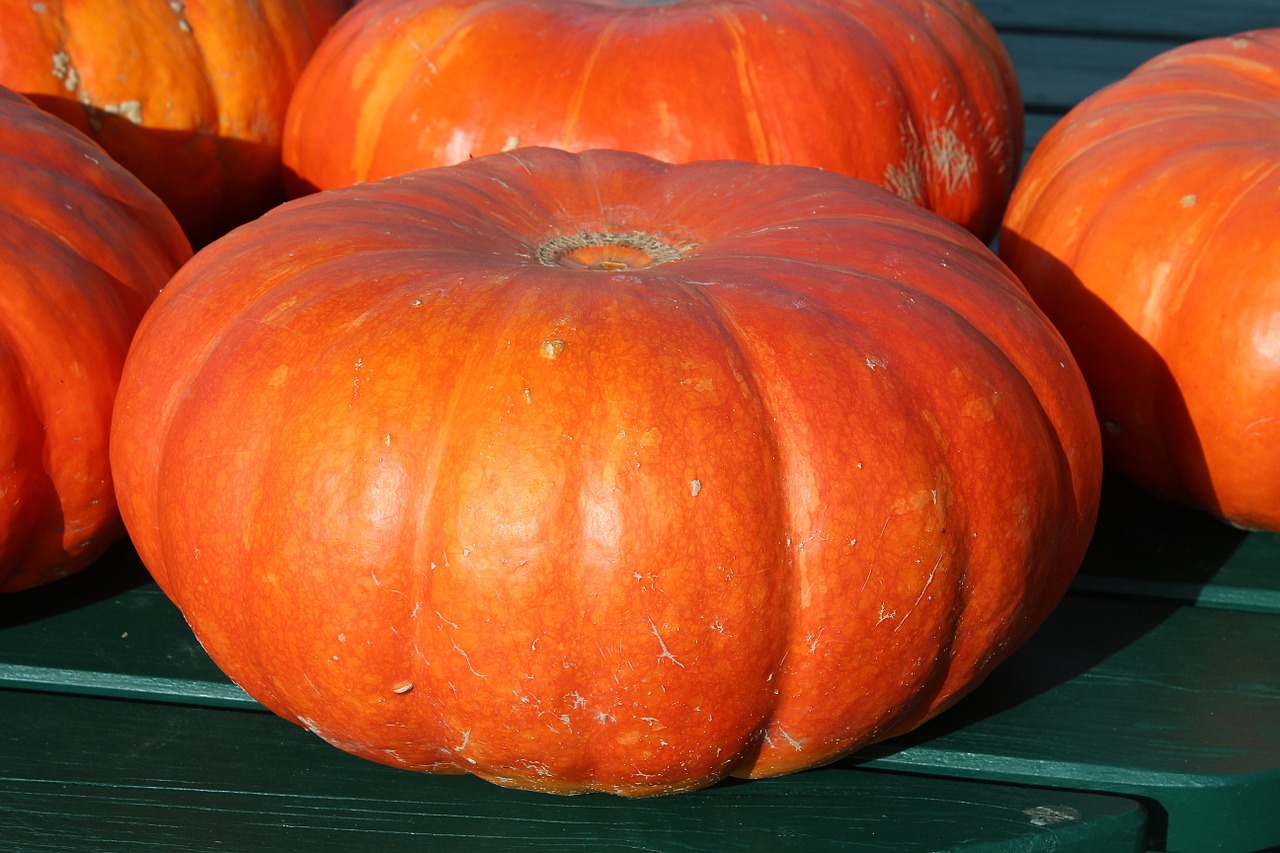 Moliūgai, Geltona, Daržovės, Maistas, Cucurbita, Pasirinkimas Pasirinkti, Moliūgas, Nemokamos Nuotraukos,  Nemokama Licenzija