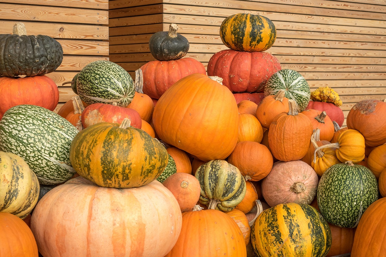 Moliūgai, Ruduo, Oranžinė, Geltona, Moliūgas, Apdaila, Daržovės, Rudens Motyvai, Struktūra, Spalva