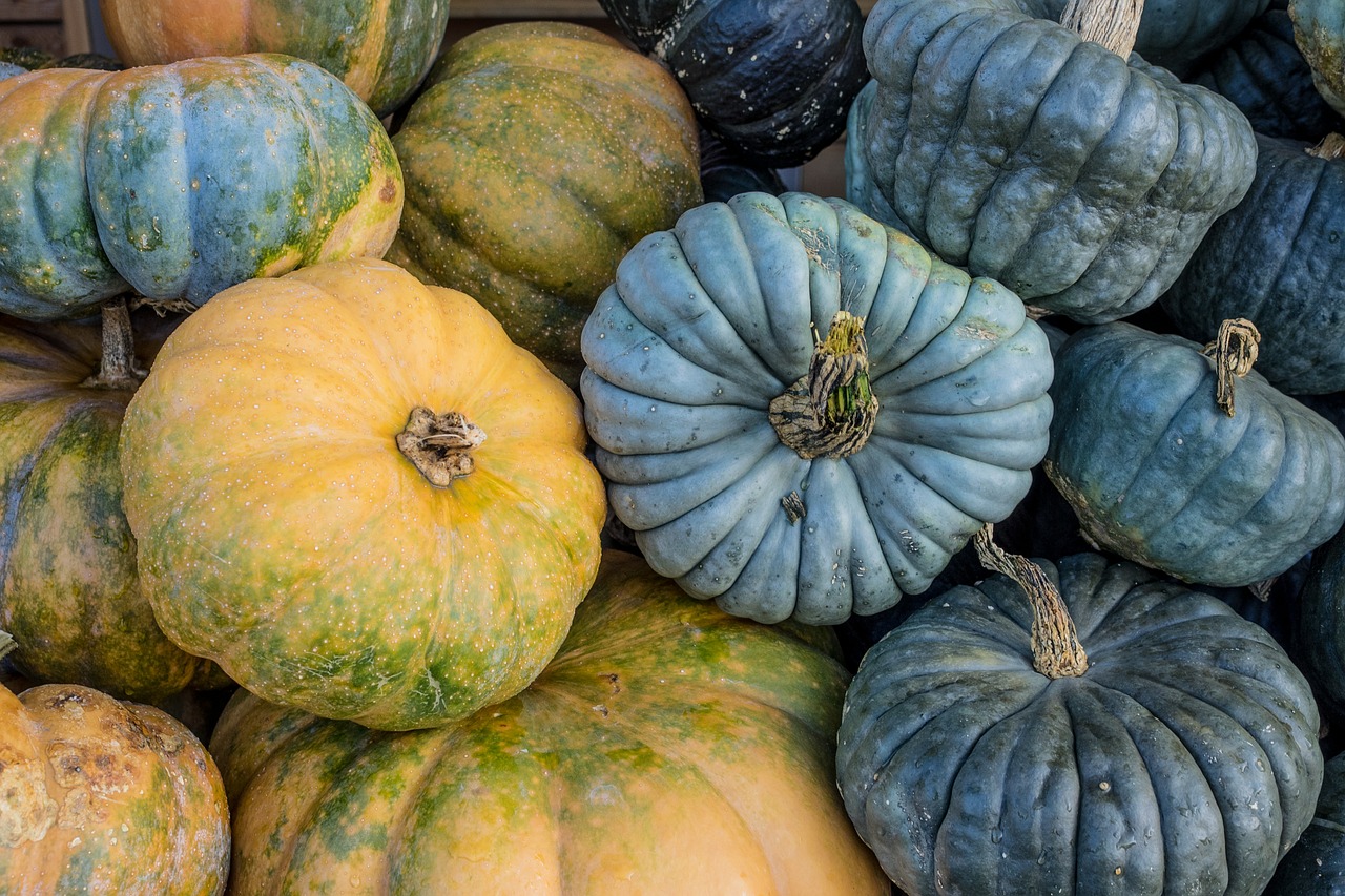 Moliūgai, Ruduo, Oranžinė, Geltona, Moliūgas, Apdaila, Daržovės, Rudens Motyvai, Struktūra, Spalva