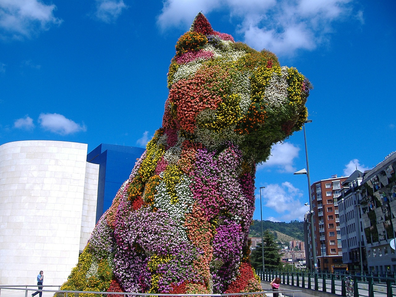 Šuniukas, Gėlės, Bilbao, Gughenheimas, Ispanija, Nemokamos Nuotraukos,  Nemokama Licenzija