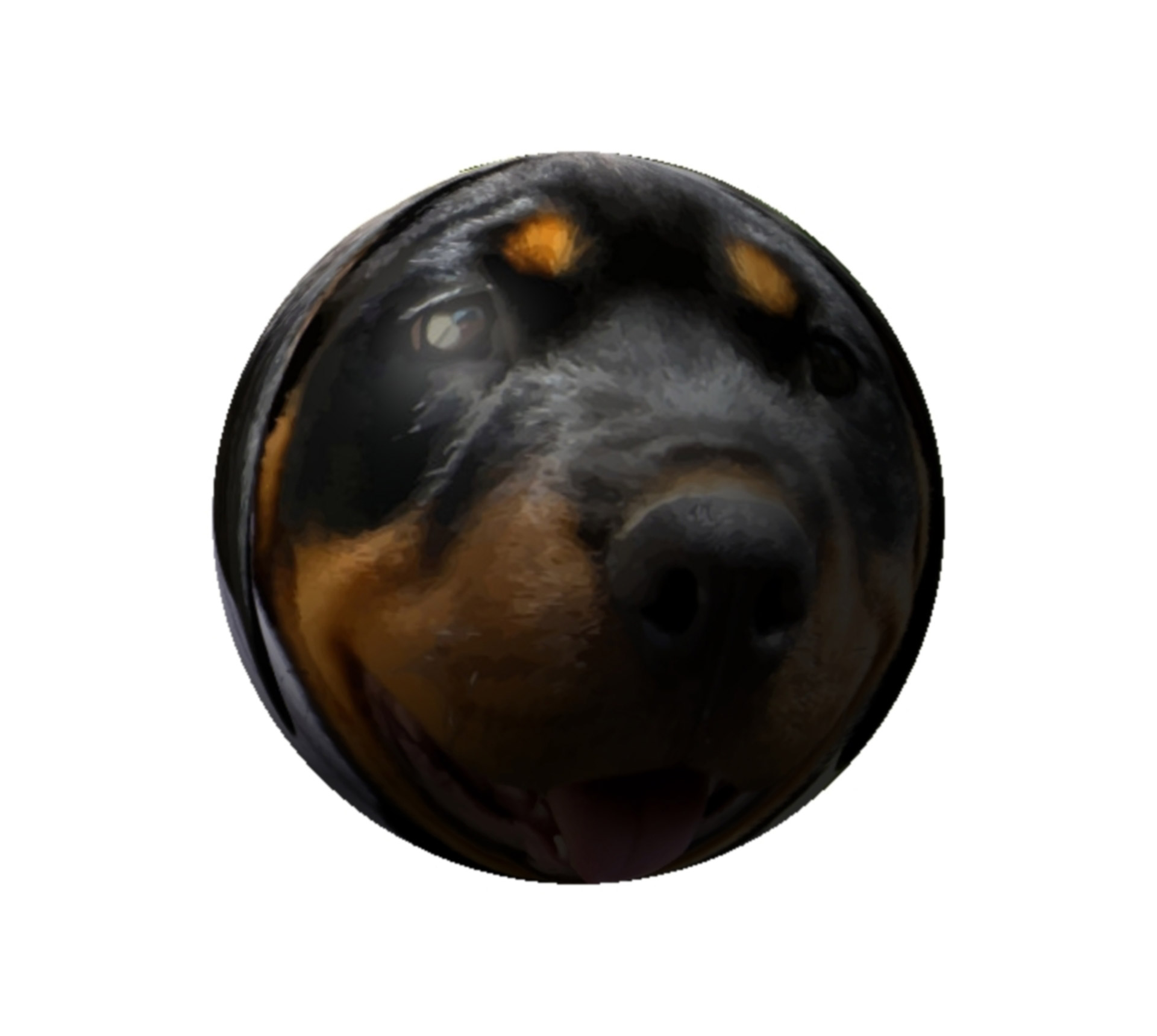 Šuniukas,  Rottweiler,  Rutulys,  Sfera,  Šuniukas Rottweiler, Nemokamos Nuotraukos,  Nemokama Licenzija