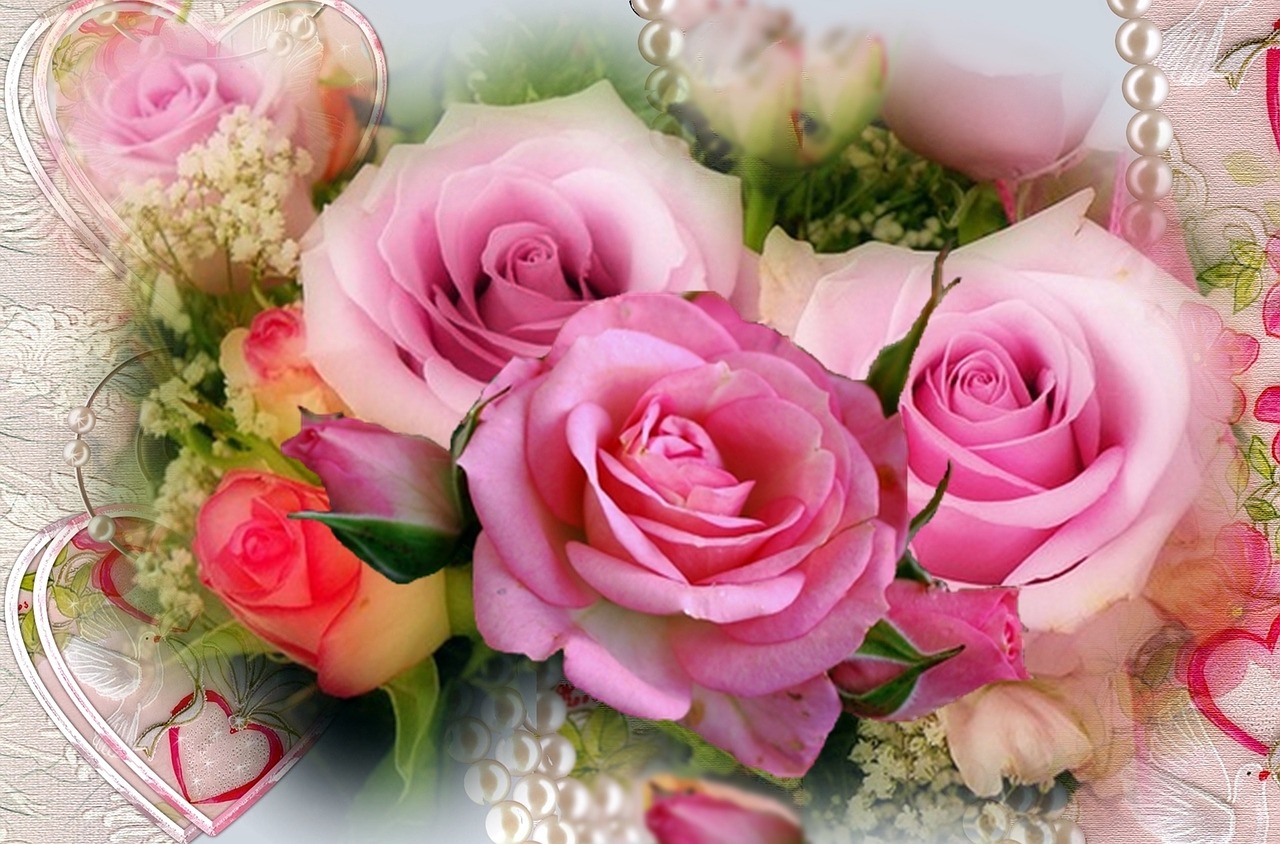 Raudonos Rožės, Rosebud, Širdis, Romantiškas, Rožės, Gamta, Gėlės, Linda, Rožinis, Spalva Rožinė