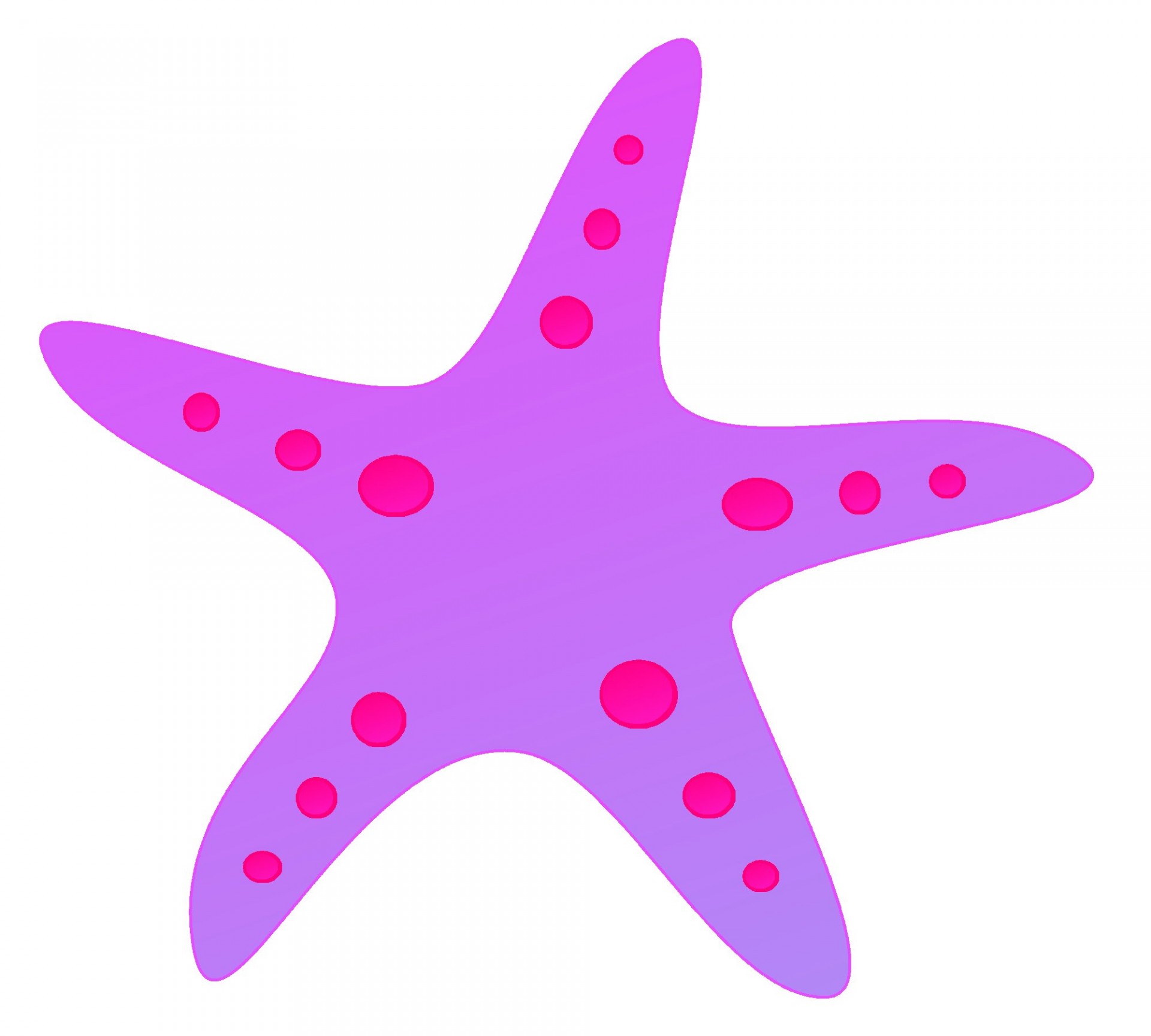Фиолетовая морская звезда. Морская звезда. Морская звезда для детей. Морская звезда на белом фоне.