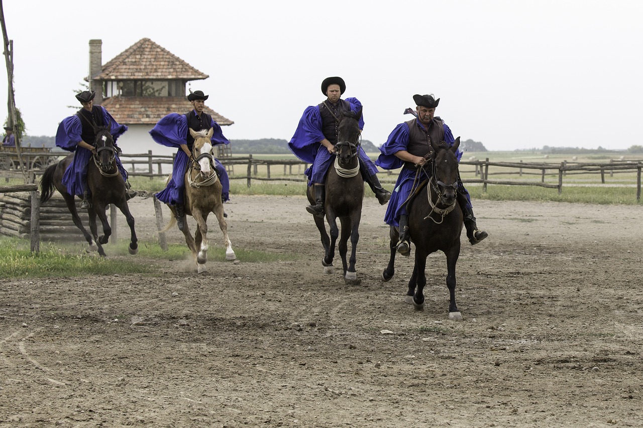 Puszta Arklių Ūkis, Vengrija, Šokinėjantis Raitelis, Nemokamos Nuotraukos,  Nemokama Licenzija