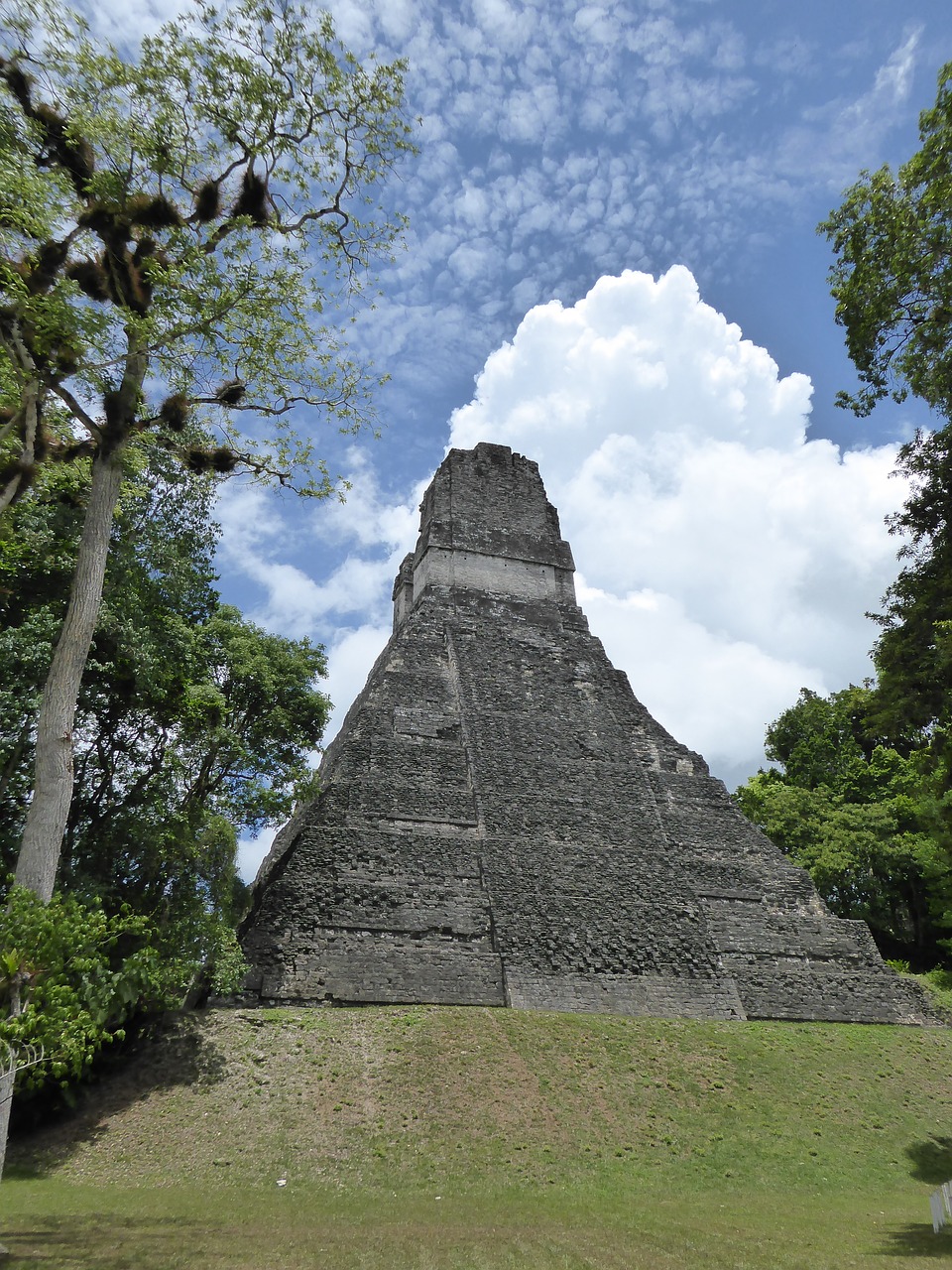 Piramidė, Maya, Tika, Gvatemala, Nemokamos Nuotraukos,  Nemokama Licenzija