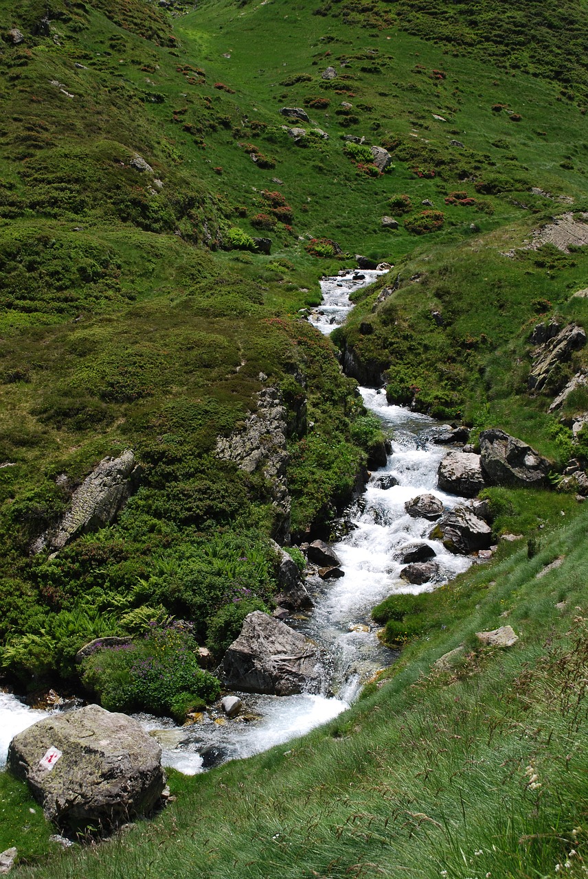 Pyrénées, Kalnas, Šventė, Sniegas, Vasara, Baladė, Žygiai, Aukščiausiojo Lygio Susitikimai, Kraštovaizdis, Gamta